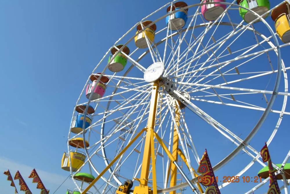 Ferris wheel lit up on the carnival midway