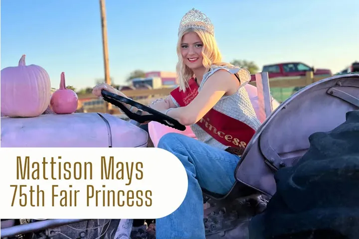 Fair Princess