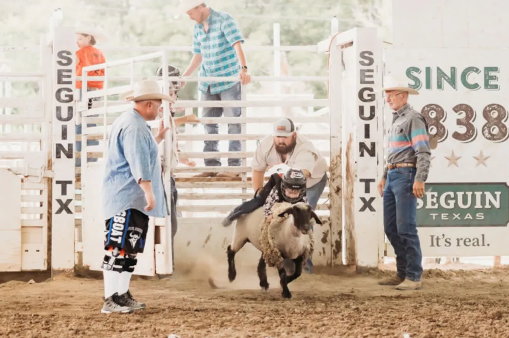 Mutton bustin&rsquo; competitor